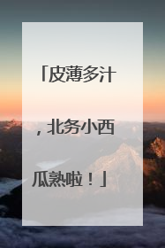 皮薄多汁，北务小西瓜熟啦！