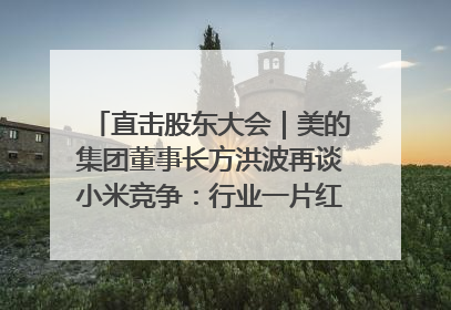 直击股东大会｜美的集团董事长方洪波再谈小米竞争：行业一片红海，打法已固定，无论谁胜都是消耗战