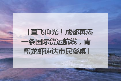 直飞仰光！成都再添一条国际货运航线，青蟹龙虾速达市民餐桌