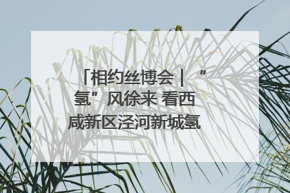 相约丝博会｜“氢”风徐来 看西咸新区泾河新城氢能产业聚链成势