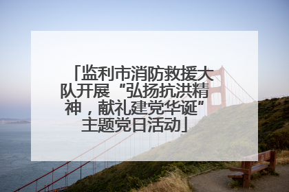 监利市消防救援大队开展“弘扬抗洪精神，献礼建党华诞”主题党日活动