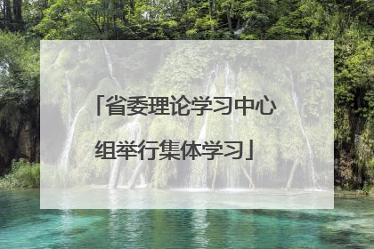 省委理论学习中心组举行集体学习