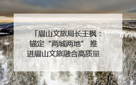 眉山文旅局长王枫：锚定“两城两地” 推进眉山文旅融合高质量发展｜文旅局长说