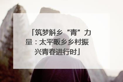 筑梦斛乡“青”力量：太平畈乡乡村振兴青春进行时