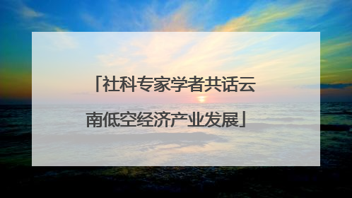 社科专家学者共话云南低空经济产业发展