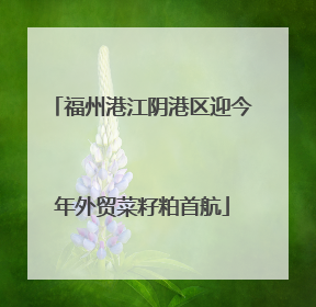 福州港江阴港区迎今年外贸菜籽粕首航