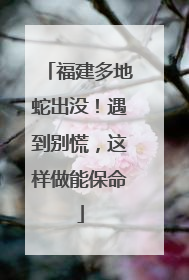 福建多地蛇出没！遇到别慌，这样做能保命