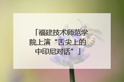 福建技术师范学院上演“舌尖上的中印尼对话”