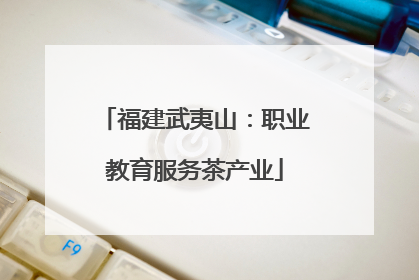福建武夷山：职业教育服务茶产业