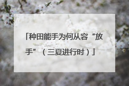 种田能手为何从容“放手”（三夏进行时）