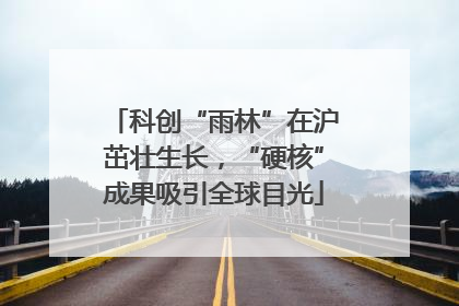 科创“雨林”在沪茁壮生长，“硬核”成果吸引全球目光