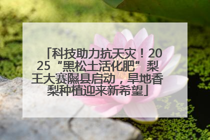 科技助力抗天灾！2025“黑松土活化肥”梨王大赛隰县启动，旱地香梨种植迎来新希望