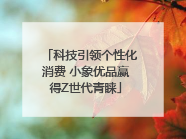 科技引领个性化消费 小象优品赢得Z世代青睐