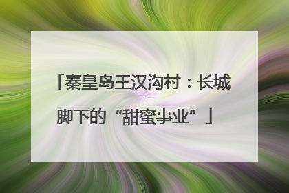 秦皇岛王汉沟村：长城脚下的“甜蜜事业”