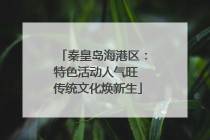秦皇岛海港区：特色活动人气旺 传统文化焕新生