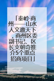秦岭·商州——山水人文邀天下，商州区委副书记、区长支朝奇推介5个重点招商项目