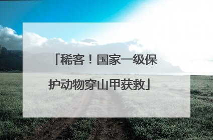 稀客！国家一级保护动物穿山甲获救