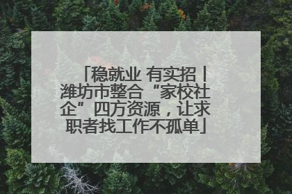 稳就业 有实招丨潍坊市整合“家校社企”四方资源，让求职者找工作不孤单