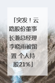 突发！云路股份董事长兼总经理李晓雨被留置 个人持股21%
