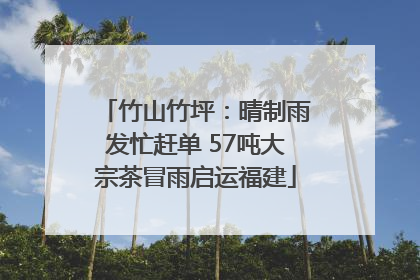 竹山竹坪：晴制雨发忙赶单 57吨大宗茶冒雨启运福建