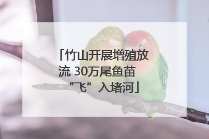 竹山开展增殖放流 30万尾鱼苗“飞”入堵河