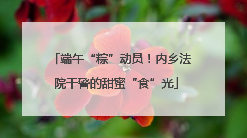 端午“粽”动员！内乡法院干警的甜蜜“食”光