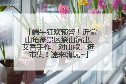 端午狂欢预警！沂蒙山龟蒙景区祭山演出、艾香手作、对山歌、逛市集！速来嗨玩~