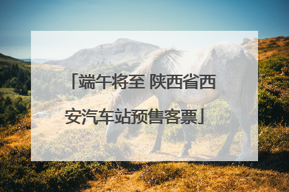 端午将至 陕西省西安汽车站预售客票