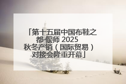 第十五届中国布鞋之都·偃师 2025 秋冬产销（国际贸易）对接会隆重开幕