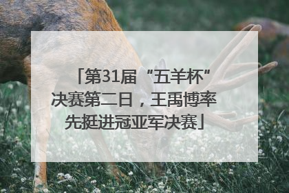 第31届“五羊杯”决赛第二日，王禹博率先挺进冠亚军决赛