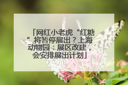 网红小老虎“红糖”将暂停展出？上海动物园：展区改建，会安排展出计划