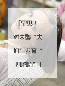 罕见！一对朱鹮“夫妇”养育“四胞胎”