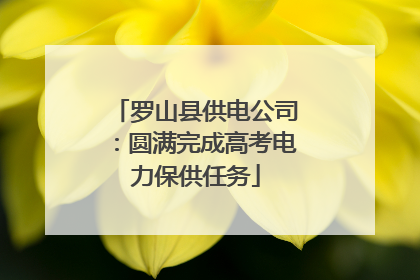 罗山县供电公司：圆满完成高考电力保供任务