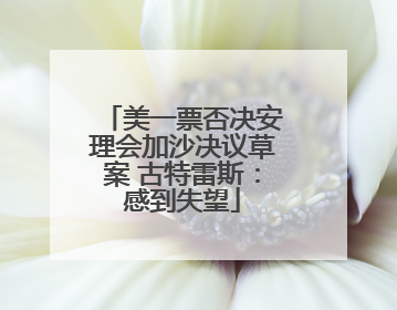 美一票否决安理会加沙决议草案 古特雷斯：感到失望