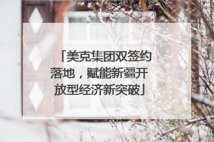 美克集团双签约落地，赋能新疆开放型经济新突破