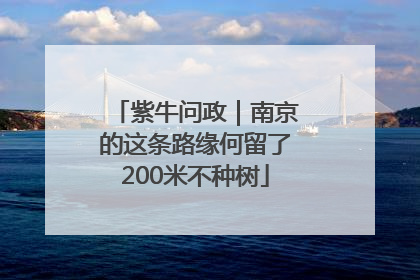 紫牛问政｜南京的这条路缘何留了200米不种树