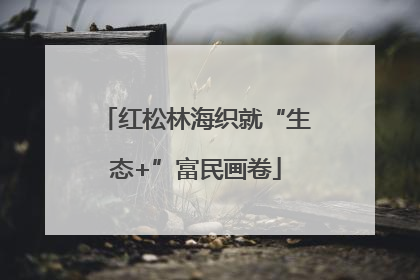 红松林海织就“生态+”富民画卷