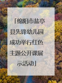 绵阳市盐亭县先锋幼儿园成功举行红色主题公开课展示活动