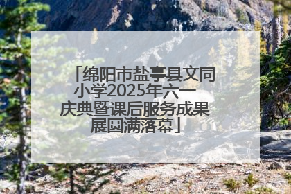 绵阳市盐亭县文同小学2025年六一庆典暨课后服务成果展圆满落幕