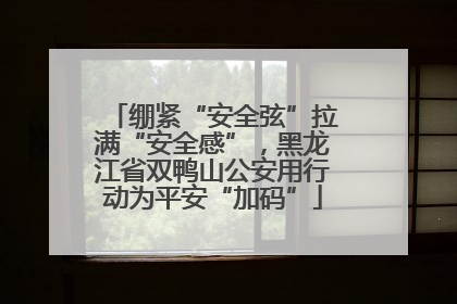 绷紧“安全弦”拉满“安全感”，黑龙江省双鸭山公安用行动为平安“加码”