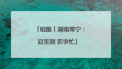 组图丨湖南常宁：夏至到 农事忙