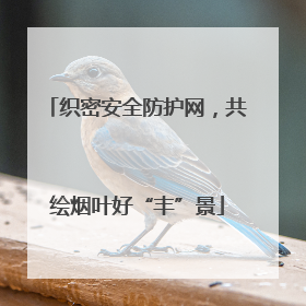 织密安全防护网，共绘烟叶好“丰”景