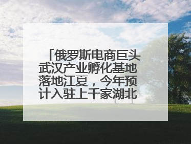 俄罗斯电商巨头武汉产业孵化基地落地江夏，今年预计入驻上千家湖北跨境卖家