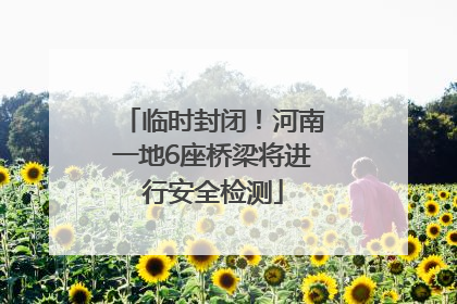 临时封闭！河南一地6座桥梁将进行安全检测
