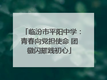 临汾市平阳中学：青春向党担使命 团徽闪耀践初心