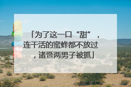为了这一口“甜”，连干活的蜜蜂都不放过，诸暨两男子被抓
