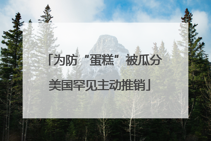 为防“蛋糕”被瓜分 美国罕见主动推销
