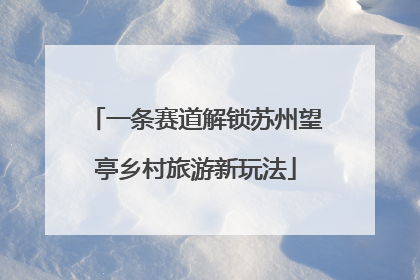 一条赛道解锁苏州望亭乡村旅游新玩法
