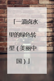 一滴卤水里的绿色转型（美丽中国）