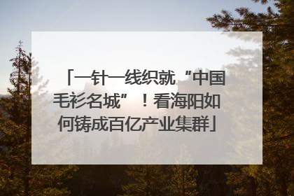 一针一线织就“中国毛衫名城”！看海阳如何铸成百亿产业集群